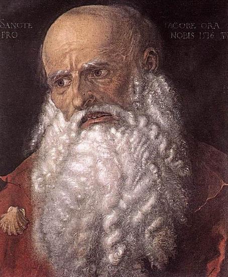 Albrecht Durer The Apostle James the Elder oil painting image